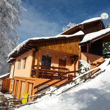 Holiday home Cabana Plai Petrosani